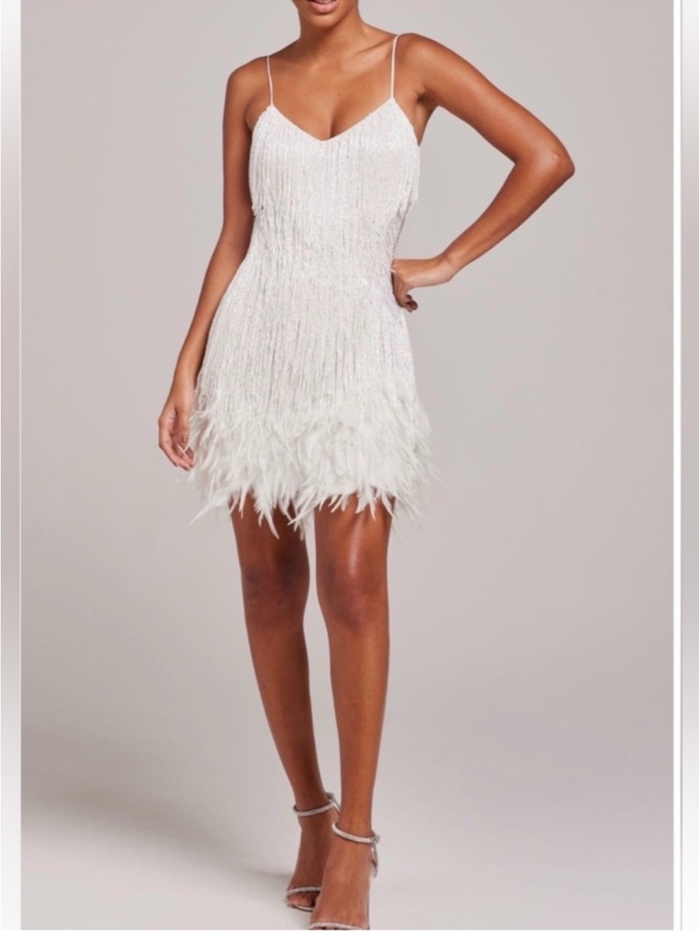 ✨NWT ✨ Nadine Merabi Lottie Fringe
Feather Minidress